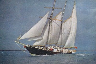 aaa 26.jpg