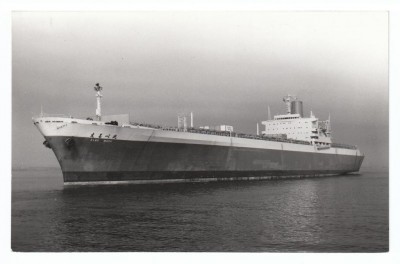M.V. Elbe Maru 2.......jpg