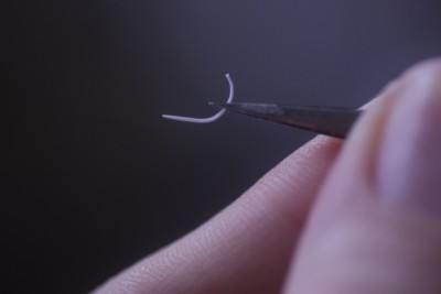 PG - 111.jpg
