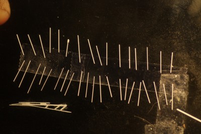 PG - 124.jpg