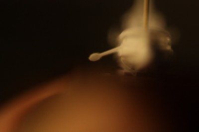 PG - 148.jpg