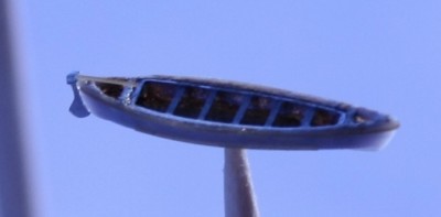 mws30.JPG