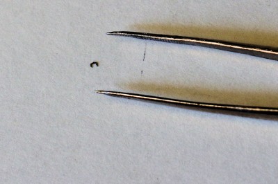 08 Dang, those thimngs are tiny!.jpg