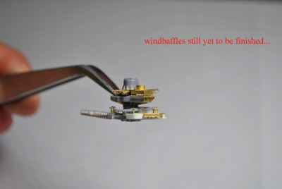 DSC_0006_edited-1.jpg