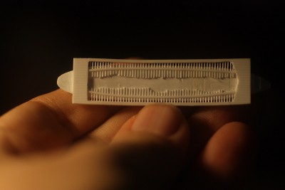 VGG319 - 69.jpg