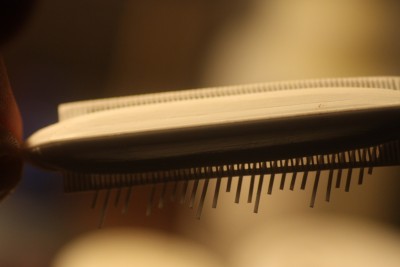 VGG3192 - 59.jpg