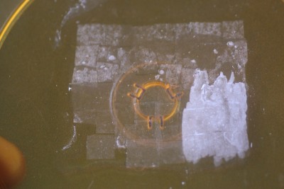 VGG6190 - 9.jpg