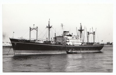 M.V. Hamburg Maru (iv), � unknown.