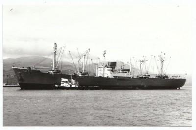 M.V. Hague Maru (vi). � World Ship Society; in Mitsui-OSK livery.