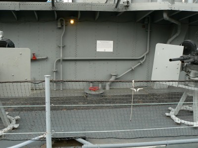 (374).JPG