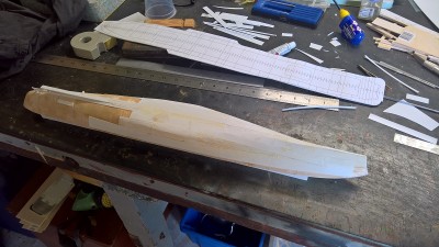 WP_20200503_09_33_50_Pro.jpg