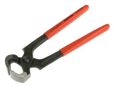 big pincers.JPG
