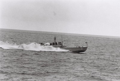 vedeta-torpiloare-91.JPG