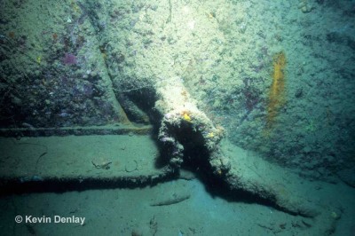 5 Moa starboard buckled bilge keel.jpg