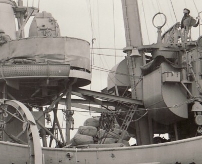 zDD502x25cropBrace-30Dec44.jpg