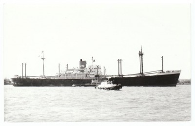 S.S. Patonga 8.......jpg