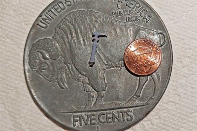 TDT on 1913 Indian head nickle with penny.jpg