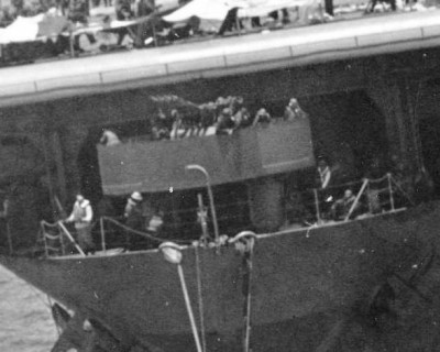 Hornet_bow_gun_020815b.jpeg