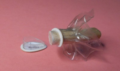env05 04.jpg