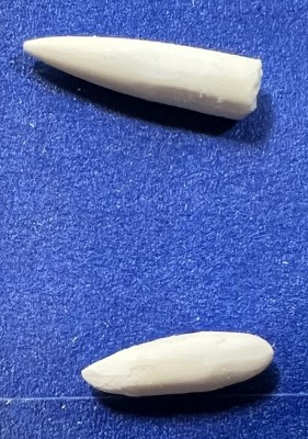 2501319.jpg