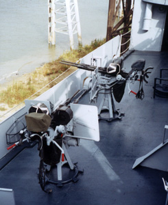 20mm twin.jpg