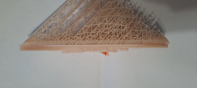 20251121_115607.jpg