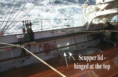 zzscuppers 2s.jpg
