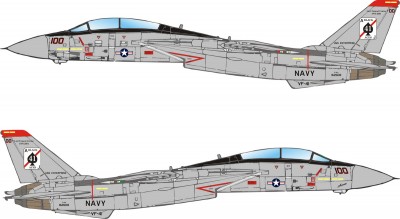 F14A VF41 CAG_redimensionner.jpg