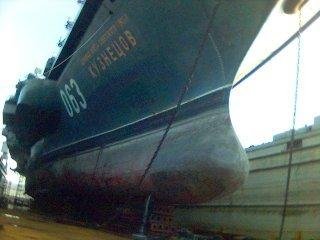 x_16f40074.jpg