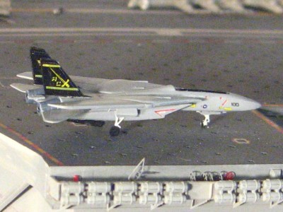 F-14 CAG bird.