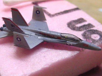 Ragin' Bulls CO bird