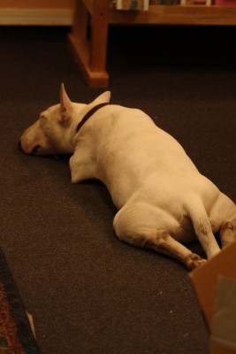 Fattyfeb-mar147.jpg