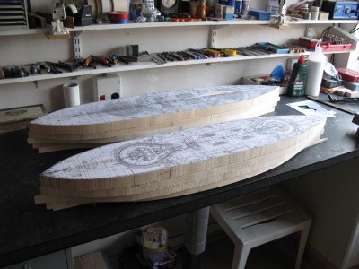 IMG_0315.JPG (109.89 KiB) Viewed 2321 times The hull planks ready for carving.