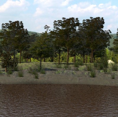 treerender.jpg