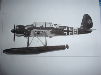 i think the 196 has folding wings,i am not going to show folding wings as i am only building one