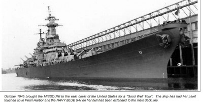 All Navy Scheme 2.jpg
