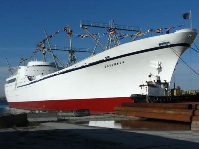 ns_savannah_2008.jpg