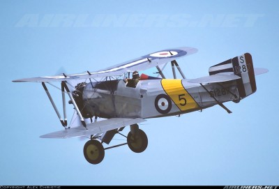 Flycatcher (replica)