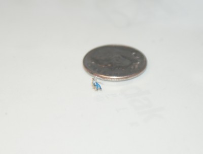 DSC04447-2.JPG
