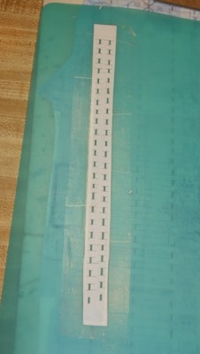 DSC04701-2.JPG
