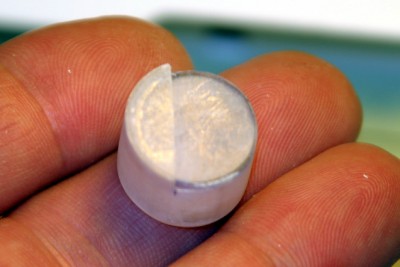 IMG_1262.jpg 13 x 8.667 low res.jpg