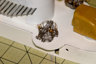 IMG_2091 13 x 8.667 low res.jpg