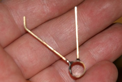 IMG_2397 13 x 8.667 low res.jpg