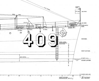 DD409BowCloseUp.jpg