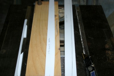 IMG_3079 13 x 8.667 low res.jpg