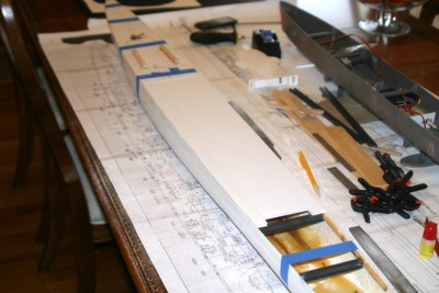 IMG_3084 13 x 8.667 low res.jpg