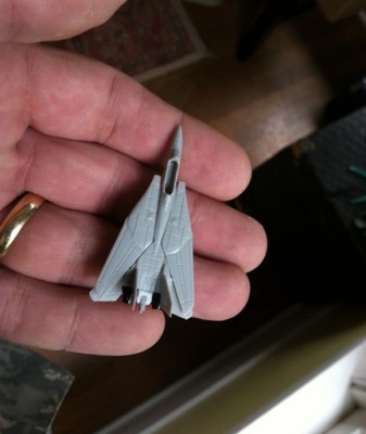 tomcat1.JPG