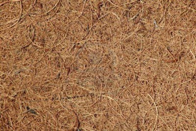 Coir Matting sm.jpg