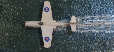 saro1 027.jpg
