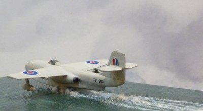 saro1 008.jpg